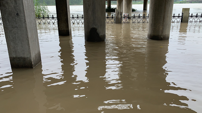 1596765219370718.png 盱眙淮河鎮城根八組防汛點水位2_副本.png