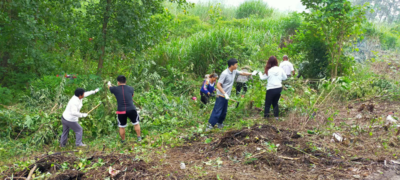 1596765272966265.jpg 突擊隊員在城根村防汛一線清除雜草_副本.jpg